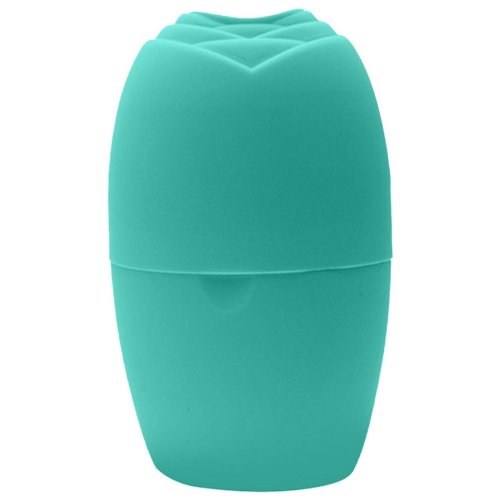 EARKITY Ice Roller for Face & Eye, Beauty Facial Ice Holder Mold Face Puffiness Relief Massage Skin Care Tools for Brighten Lubricate Shrink