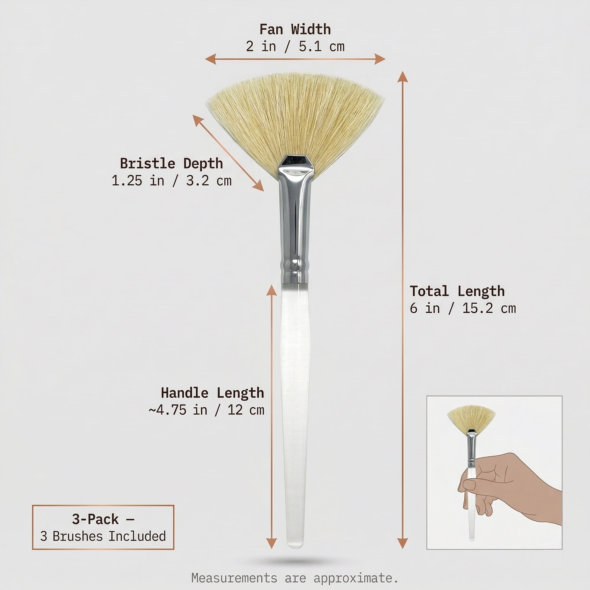 Bristle Facial Fan Brush 3-Pack, Professional Face Mask & Skincare Treatment Applicator for Estheticians (SB4011x3), ... - Image 3